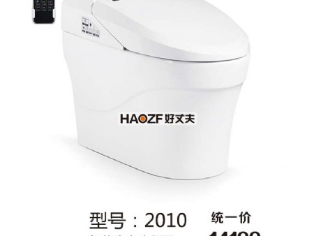 HZF-ZN2010